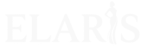 elarisbd.com